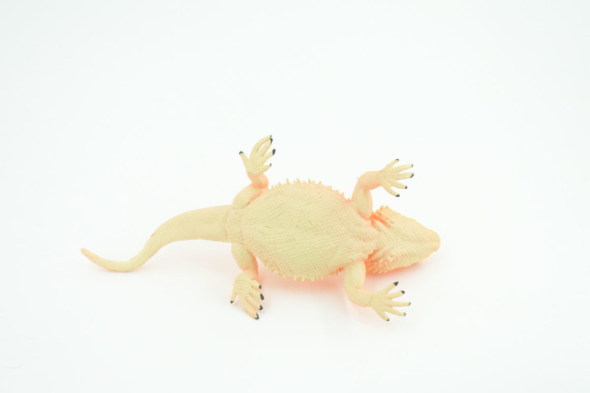 Horny Toad, Horned Lizard, Museum Quality, Educational, Hand Painted, Rubber Reptile, Diorama, Toy, Kids, Gift,  5 Inches.  CH753 BB183