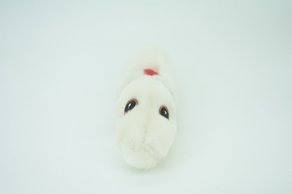 Heartworm, Dirofilariasis are long, thin parasitic roundworms, Plush Design, Educational, Figure, Replica, Gift,   9"  F1563 B102