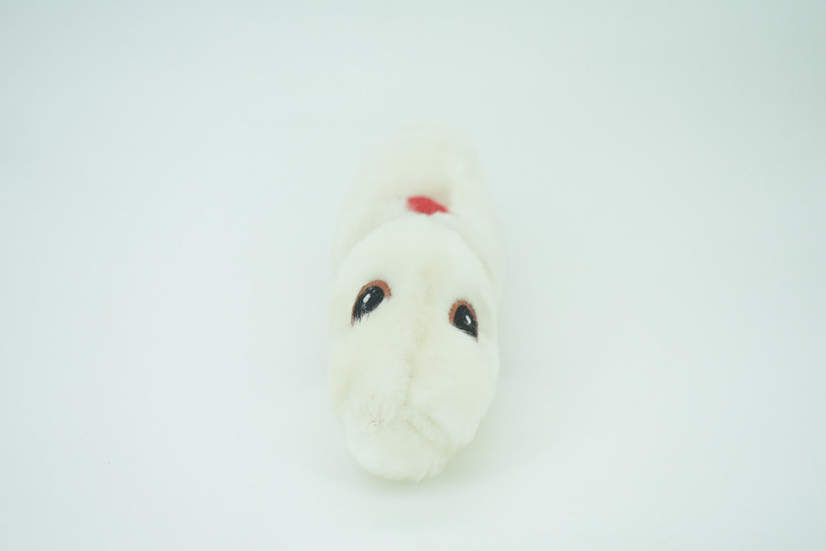 Heartworm, Dirofilariasis are long, thin parasitic roundworms, Plush Design, Educational, Figure, Replica, Gift,   9"  F1563 B102