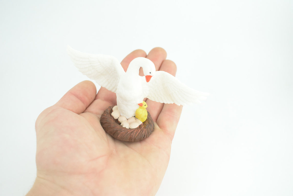 Swan with eggs, Hand Painted, Educational, High Quality Rubber Bird, Realistic, Diorama, Very Nice Design, Figure, Toys, Kids, Gift, 5 Inches. CH944 BB208