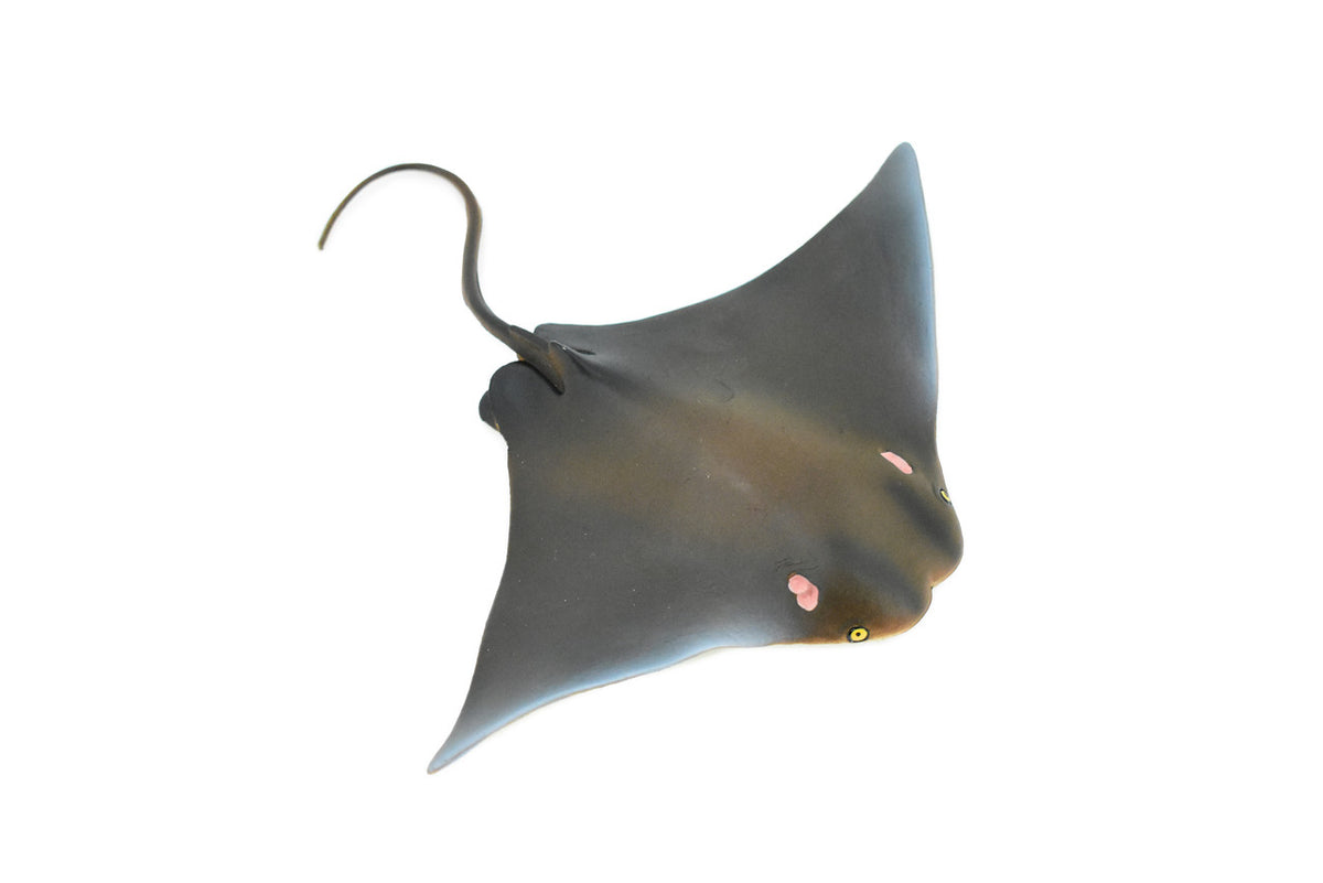Cownose Ray, Skate, Museum Quality, Educational, Rubber Fish, Hand Painted, Realistic Toy Figure, Diorama Model, Kids, Educational,  7 Inches.