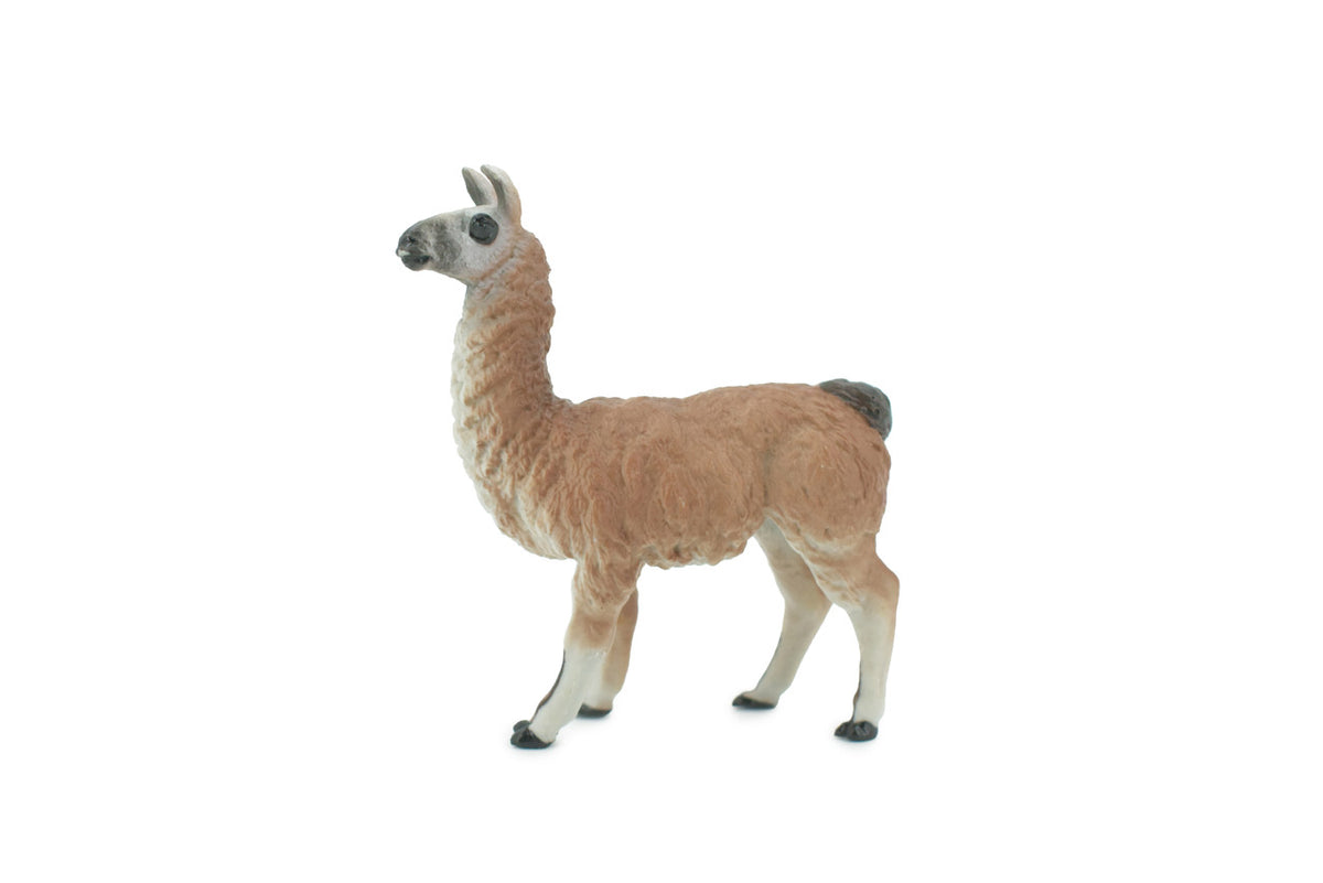 Alpaca, Lama pacos, Museum Quality, Hand Painted, Rubber Animal, Realistic, Toy, Figure, Model, Replica, Kids, Educational, Gift,    3 1/2"    CH603 BB165