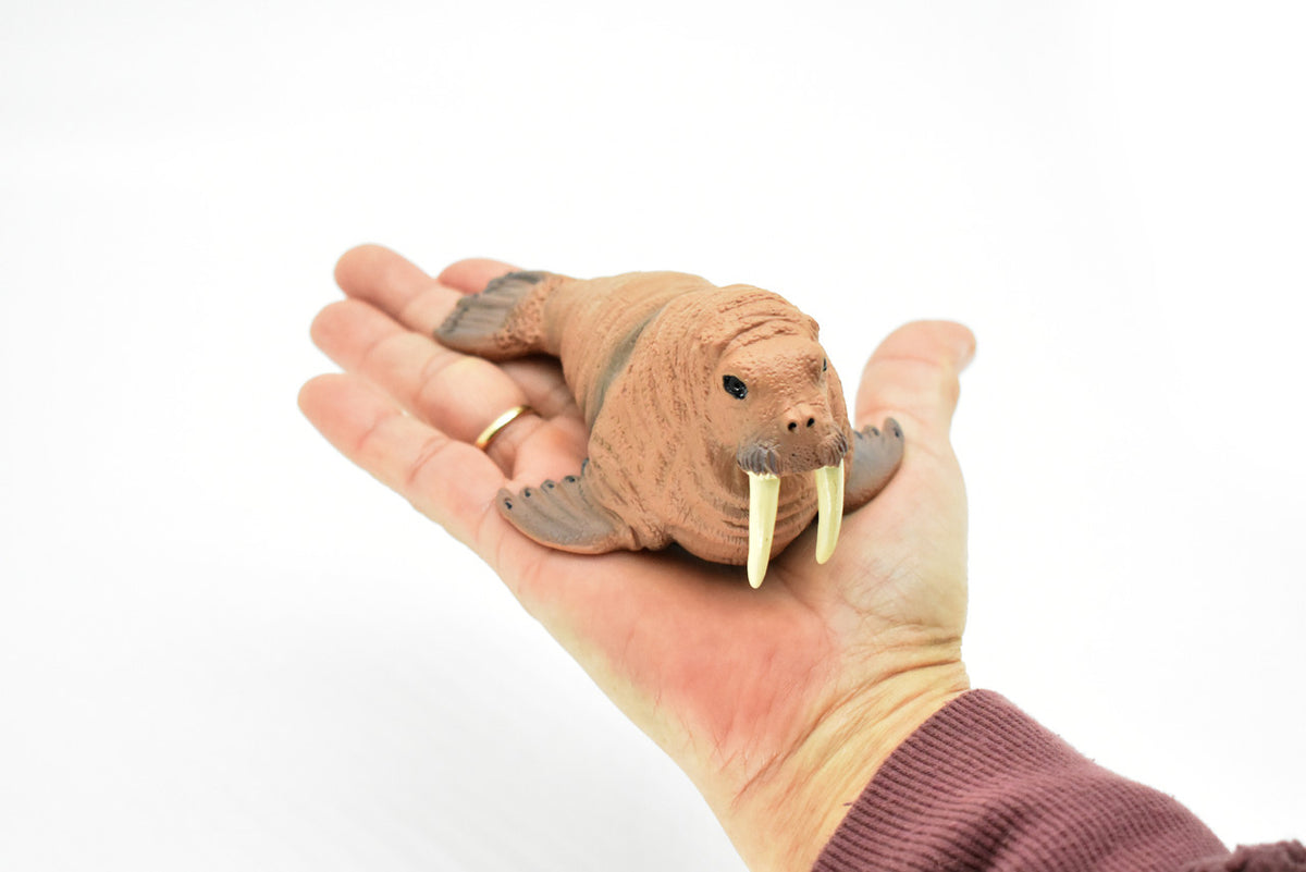 Walrus, Realistic Toy Hard Resin Model Replica, Kids Educational Gift   5"   OK05 B612