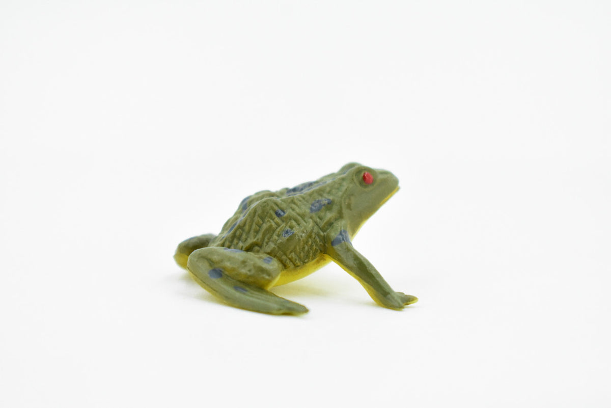 Frog, Green Bull Frog, Very Nice Plastic Design, Educational, Diorama, Realistic Figure, Lifelike, Replica, Toy, Kids, Gift,   1 1/2 Inches.    CWG18 B47