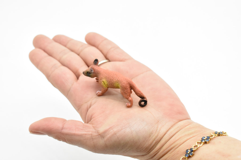 Brazilian aardvark, Coatimundi, Coati, Very Nice Plastic Design, Animal Figure, Educational, Figure, Lifelike, Diorama Model, Replica, Toy, Kids, 2 1/2 Inches. 