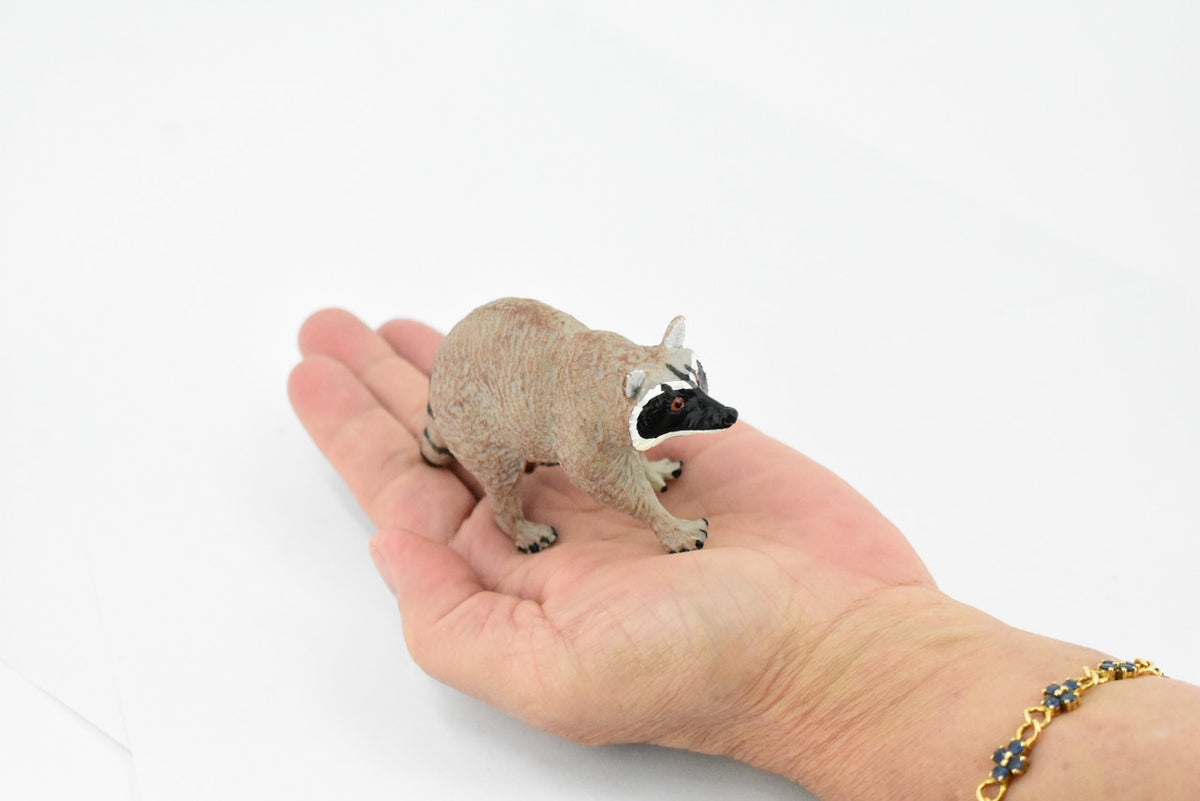 Raccoon, Racoon, Trash panda, Museum Quality, Hand Painted, Rubber Mammal, Realistic Toy Figure, Replica, Kids, Educational, 4 Inches.