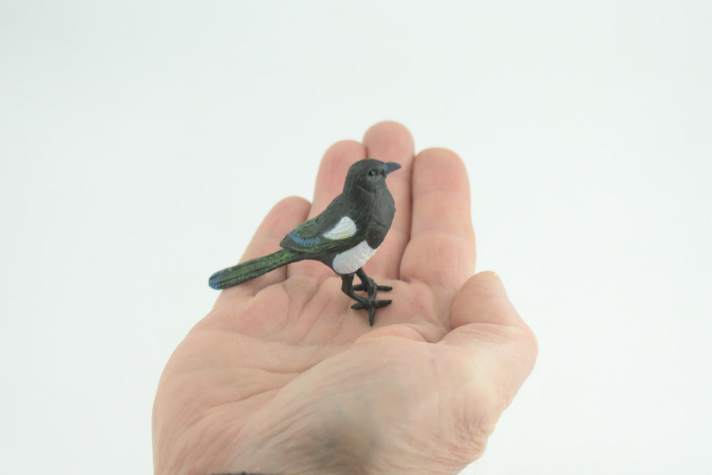 Magpie, Museum Quality, Educational, Hand Painted, Rubber Bird, Realistic, Toys, Kids, Gift, 3 Inches. CH739 BB184