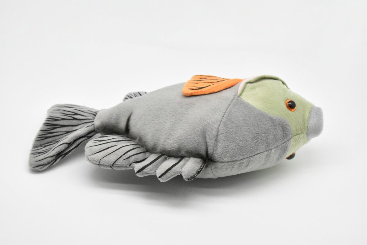 Bluegill Plush Toy, Realistic Stuffed Animal, Sunfish, Bream, Soft Plush Fish, Stuffed Fish, Educational, Toy, Kids, Fishing Gift,     12 1/2"    F2411 BB54