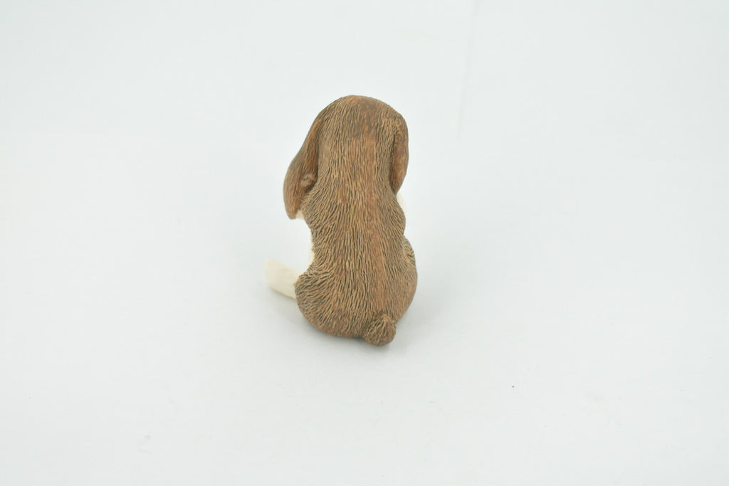 Rabbit, Lop Ear, Floppy Eared rabbit, Museum Quality, Hand Painted, Realistic, Rubber, Animal, Figure, Model, Toy, Kids, Educational, Gift,      2 1/2"      CH677 BB171