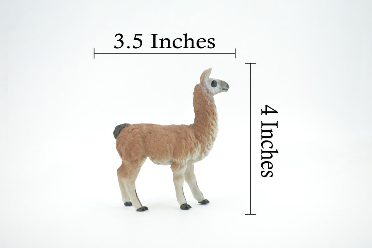 Alpaca, Lama pacos, Museum Quality, Hand Painted, Rubber Animal, Realistic, Toy, Figure, Model, Replica, Kids, Educational, Gift,    3 1/2"    CH603 BB165