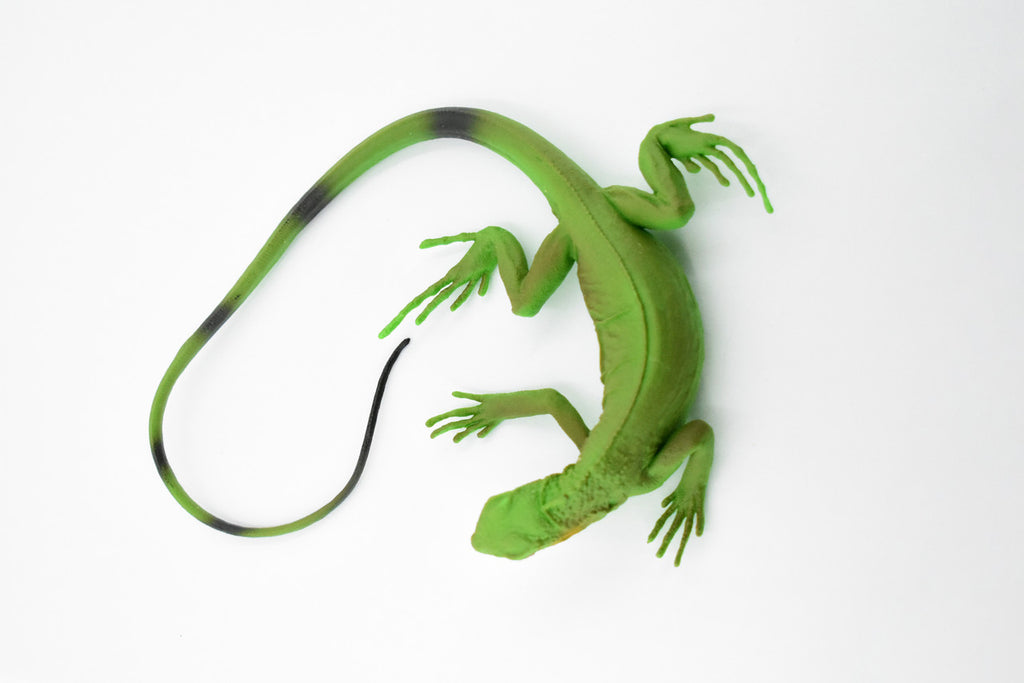 Iguana, Museum Quality, Rubber Reptile, Toy, Educational, Realistic Hand Painted Figure, Lifelike Model, Figurine, Replica, Gift,      12"     F7055 B187