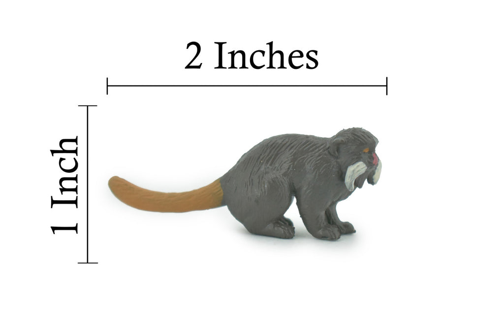 Monkey, Emperor Tamarin, Primates, High Quality, Hand Painted, Rubber, Animal, Realistic, Figure, Model, Replica, Toy, Kids, Educational, Gift,    2"      CH648 BB169