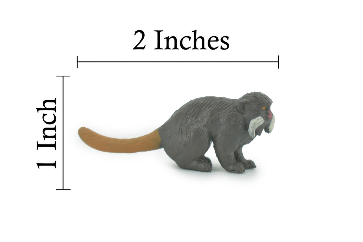 Monkey, Emperor Tamarin, Primates, High Quality, Hand Painted, Rubber, Animal, Realistic, Figure, Model, Replica, Toy, Kids, Educational, Gift,    2"      CH648 BB169