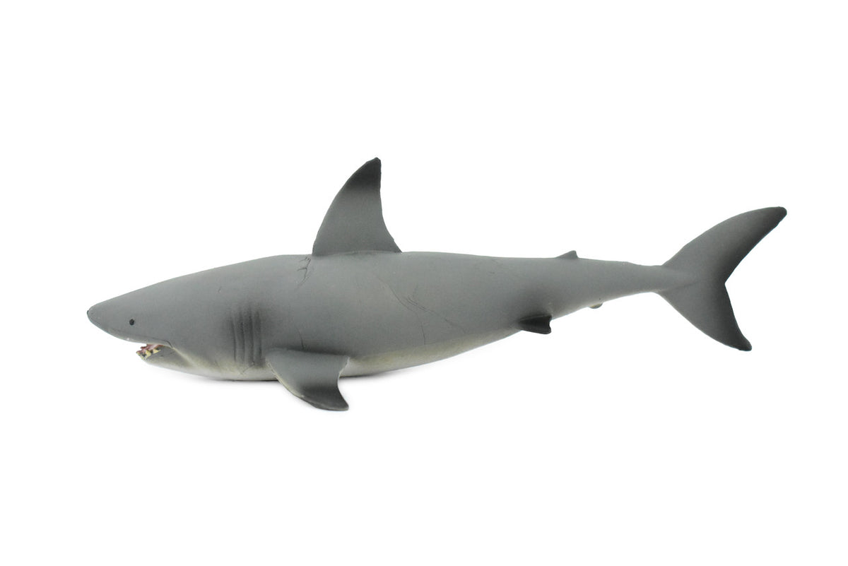 Black Tip Reef Shark, Museum Quality, Hand Painted,  Rubber Fish,  Educational, Diorama Model, Replica, Realistic Toy Figure, Kids,  7 Inches. 