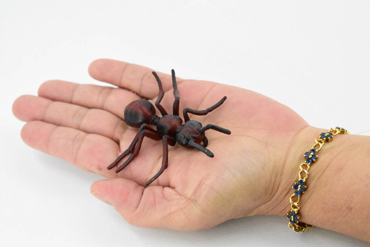 Red Fire Ant, Ginger ant, Very Nice Design, Educational, Hand Painted, Realistic Rubber Insect, Toy Figure, Diorama Model, Kids, 3 Inches. 