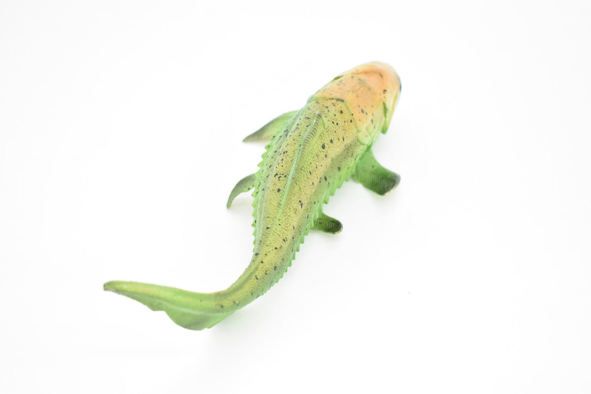 Dunkleosteus, Prehistoric Fish, Dinosaur, Museum Quality, Rubber Fish, Hand Painted, Realistic Toy Figure, Diorama Model, Kids, Educational, Gift,    8 Inches.