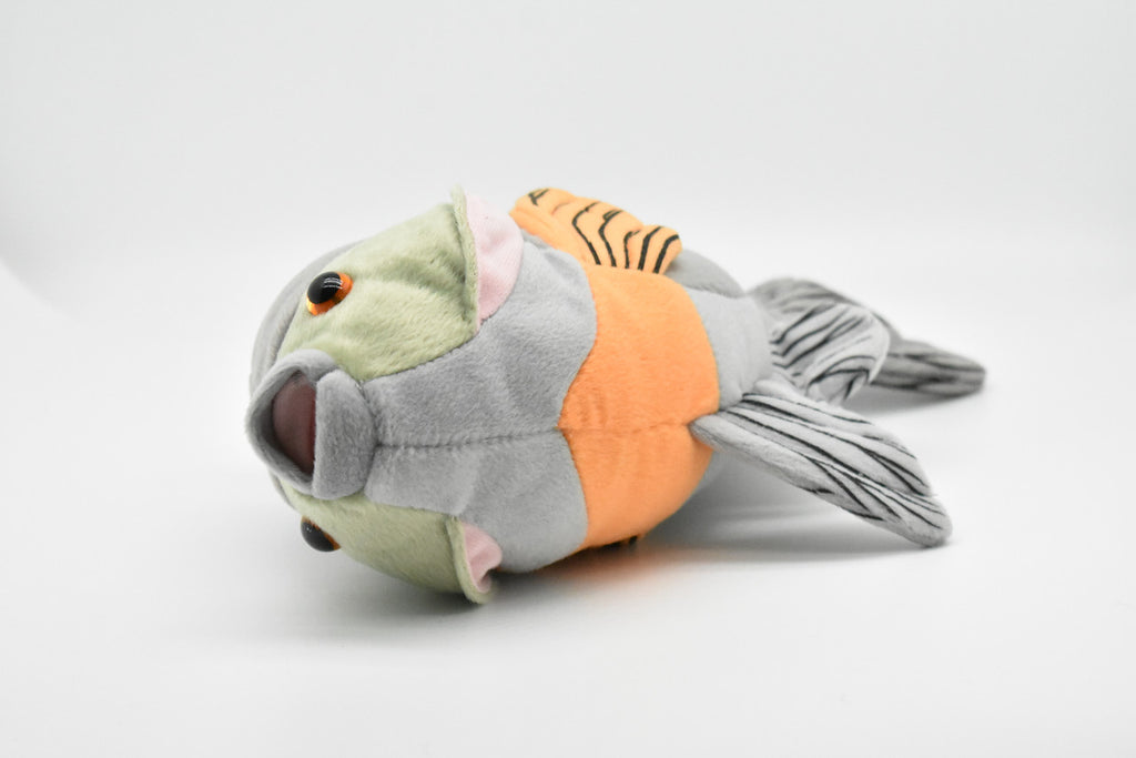 Bluegill Plush Toy, Realistic Stuffed Animal, Sunfish, Bream, Soft Plush Fish, Stuffed Fish, Educational, Toy, Kids, Fishing Gift,     12 1/2"    F2411 BB54