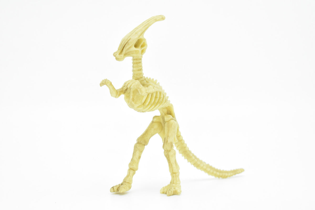 Parasaurolophus Dinosaur, Skeleton, Very Nice Plastic Replica    6"     F3283 B61