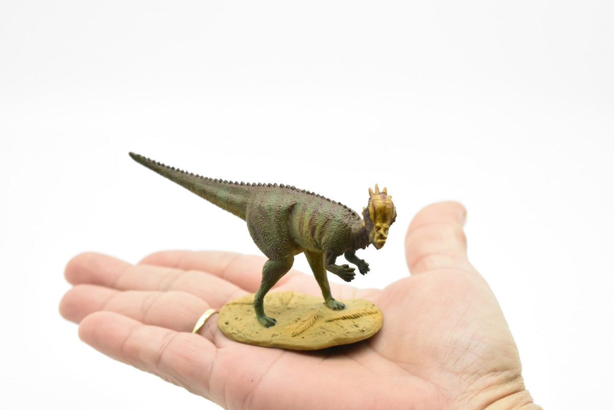 Pachycephalosaurus Dinosaur, Museum Quality, Animal, Educational, Realistic Hand Painted, Diorama Figure, Lifelike Model, Vintage Replica, Toy, 5 Inches. 