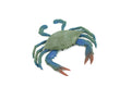 Blue Crab, Educational, Hand Painted, Museum Quality, Realistic, Rubber soft-shell crab, Realistic, Diorama, Toy, Kids, Gift, 3 1/2 Inches. CH851 BB198
