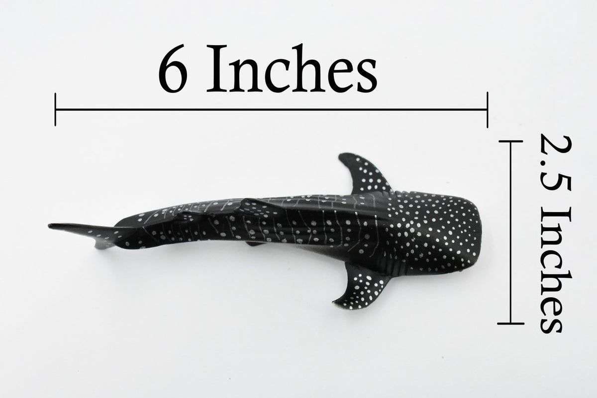 Whale Shark, Gentle Giant, Museum Quality, Educational, Hand Painted, Rubber Fish, Realistic Toy Figure, Diorama Model, Replica, Kids, 6 Inches.