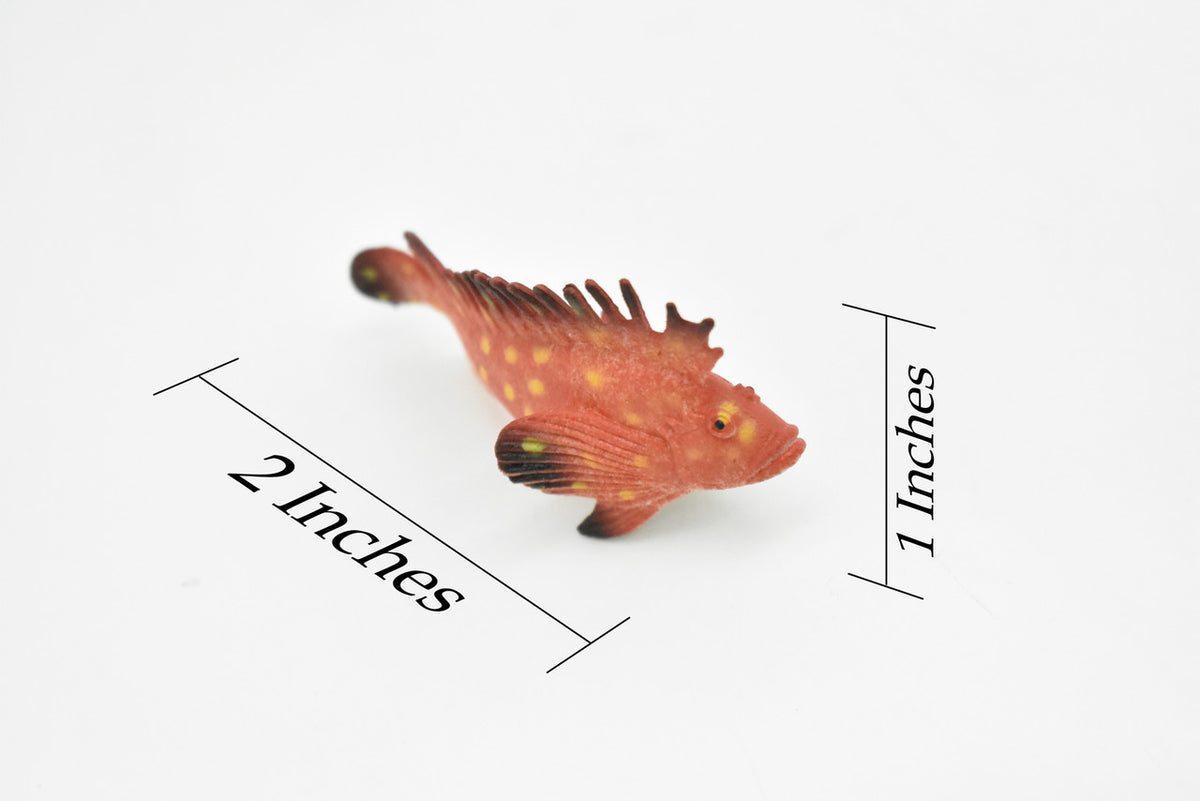 Spotted Kelpfish, Tropical Fish, Gibbonsia elegans, Hand Painted, Realistic, Plastic Fish Design, Saltwater, Educational, Lifelike, Diorama Model, Toy,  2 Inches. 