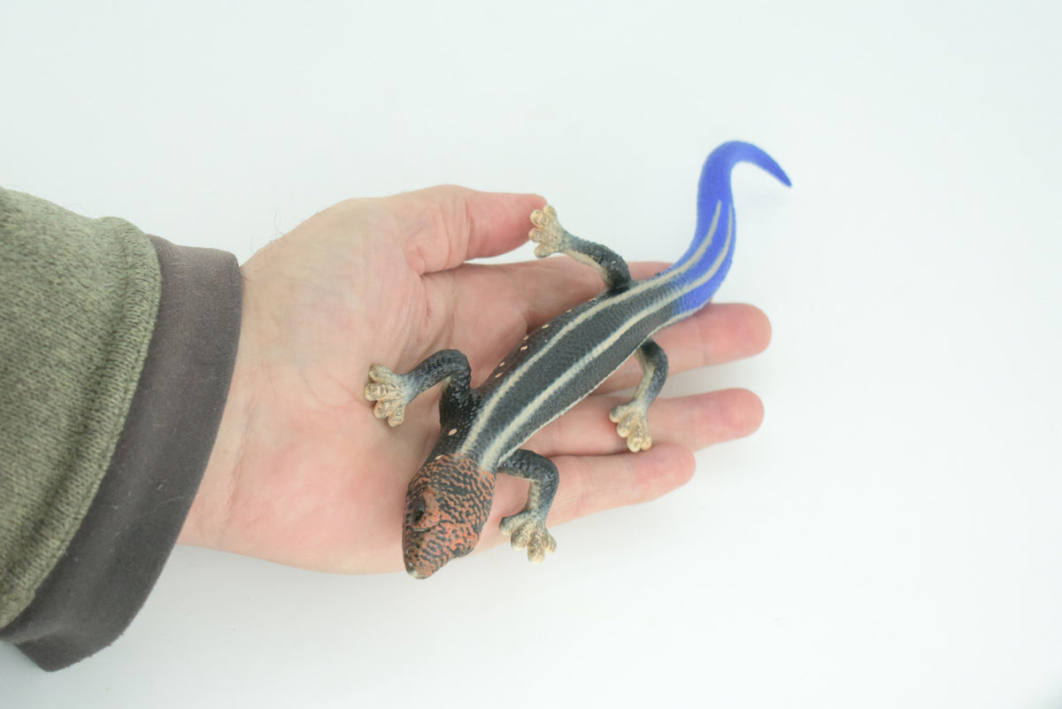 Phelsuma Gecko, Blue-tailed day gecko, Museum Quality, Educational, Hand Painted, Rubber, Realistic Reptile, Diorama, Toy, Kids, Gift, 9 Inches. CH798 BB187