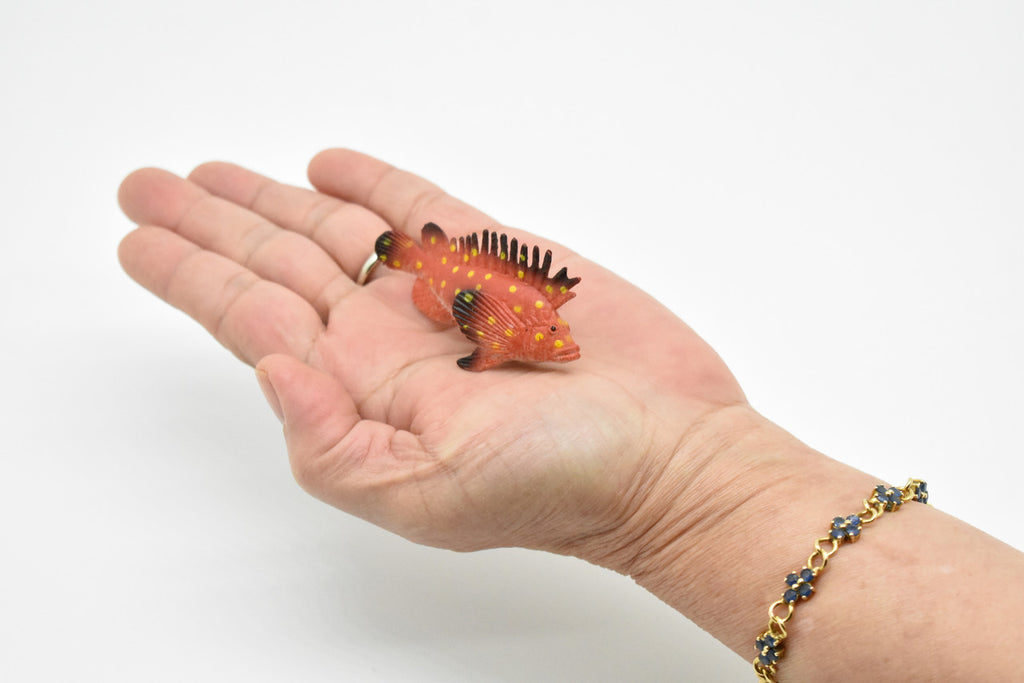 Spotted Kelpfish, Tropical Fish, Gibbonsia elegans, Hand Painted, Realistic, Plastic Fish Design, Saltwater, Educational, Lifelike, Diorama Model, Toy,  2 Inches. 