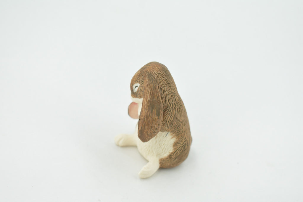 Rabbit, Lop Ear, Floppy Eared rabbit, Museum Quality, Hand Painted, Realistic, Rubber, Animal, Figure, Model, Toy, Kids, Educational, Gift,      2 1/2"      CH677 BB171