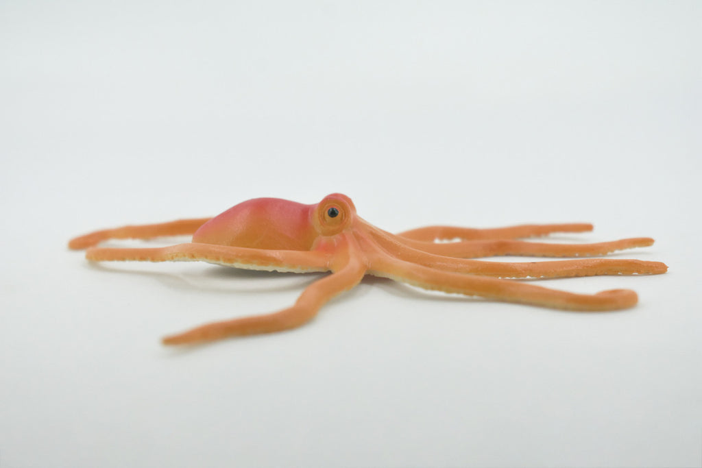 Octopus, Octopuses, Rubber, Octopodes, Educational, Realistic Hand Painted, Figure, Lifelike Figurine, Replica, Gift,      5"      F6005 B377