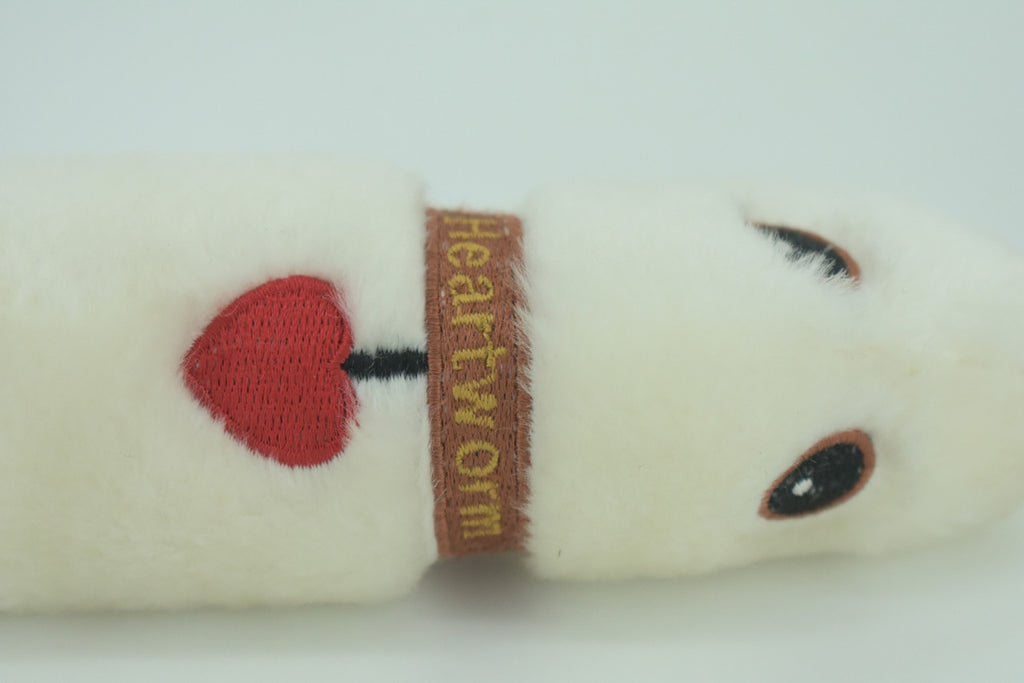 Heartworm, Dirofilariasis are long, thin parasitic roundworms, Plush Design, Educational, Figure, Replica, Gift,   9"  F1563 B102