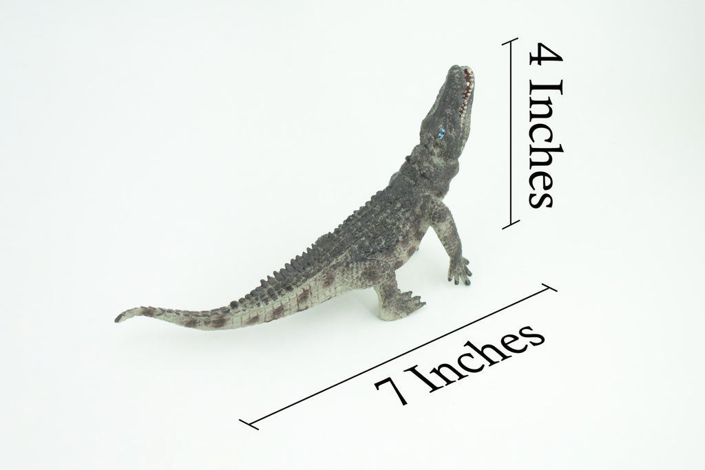 Crocodile, Museum Quality, Educational, Hand Painted, Rubber Reptile, Realistic, Diorama, Toy, Kids, Gift, 7 Inches. CH751 BB183