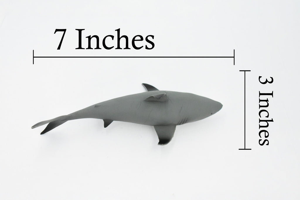 Black Tip Reef Shark, Museum Quality, Hand Painted,  Rubber Fish,  Educational, Diorama Model, Replica, Realistic Toy Figure, Kids,  7 Inches. 