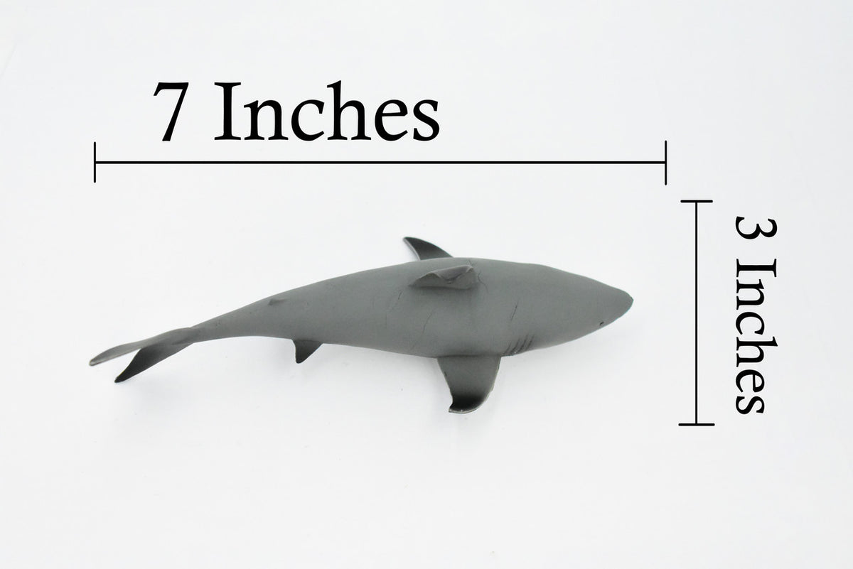 Black Tip Reef Shark, Museum Quality, Hand Painted,  Rubber Fish,  Educational, Diorama Model, Replica, Realistic Toy Figure, Kids,  7 Inches. 