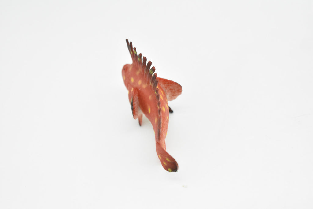 Spotted Kelpfish, Tropical Fish, Gibbonsia elegans, Hand Painted, Realistic, Plastic Fish Design, Saltwater, Educational, Figure, Lifelike, Diorama Model, Toy, Gift,  2 Inches.    CWG271 B46