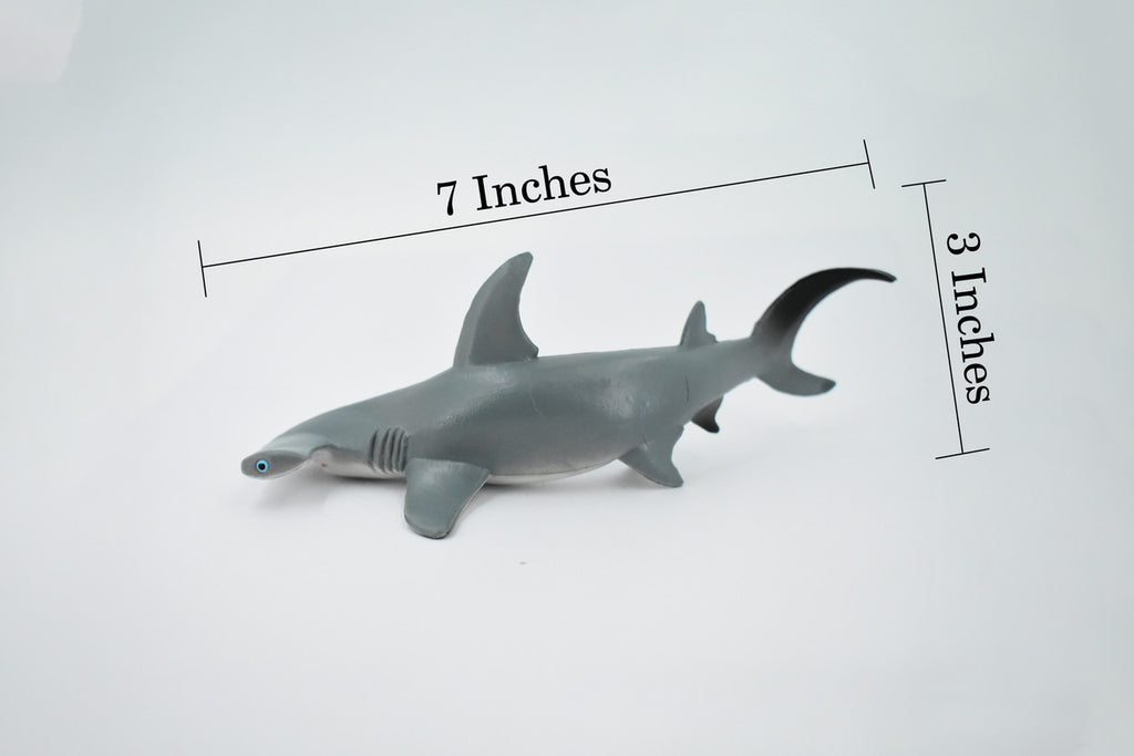 Hammerhead Shark, Museum Quality, Educational, Rubber Fish, Hand Painted, Realistic Toy Figure, Diorama Model, Kids, Educational, 7 Inches. 