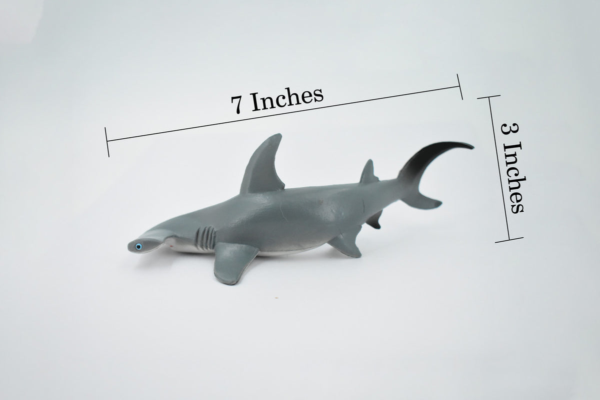 Hammerhead Shark, Museum Quality, Educational, Rubber Fish, Hand Painted, Realistic Toy Figure, Diorama Model, Kids, Educational, 7 Inches. 