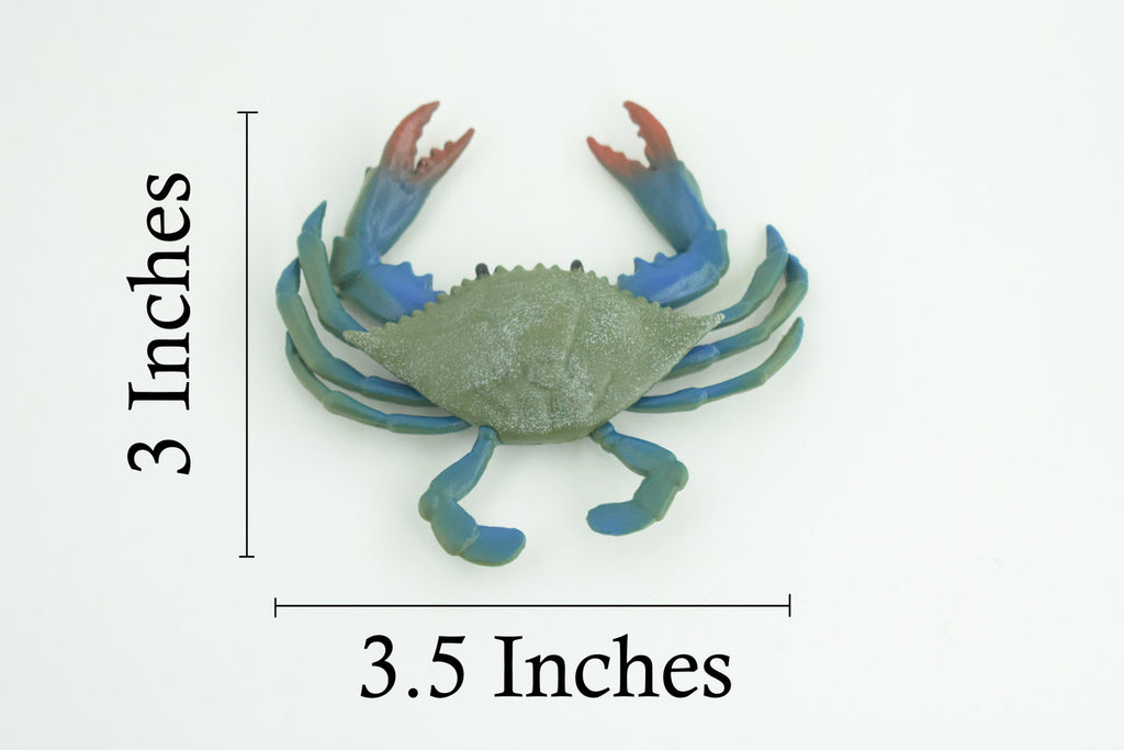 Blue Crab, Educational, Hand Painted, Museum Quality, Realistic, Rubber soft-shell crab, Realistic, Diorama, Toy, Kids, Gift, 3 1/2 Inches. CH851 BB198
