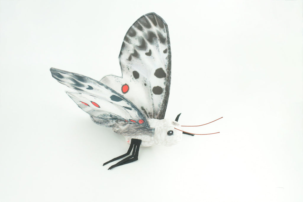 Apollo Butterfly, Finger Puppet, Very Nice Plush, Insect, Realistic, Educational, Toy, Kids, Gift,   15 Inches. WR36 BB317