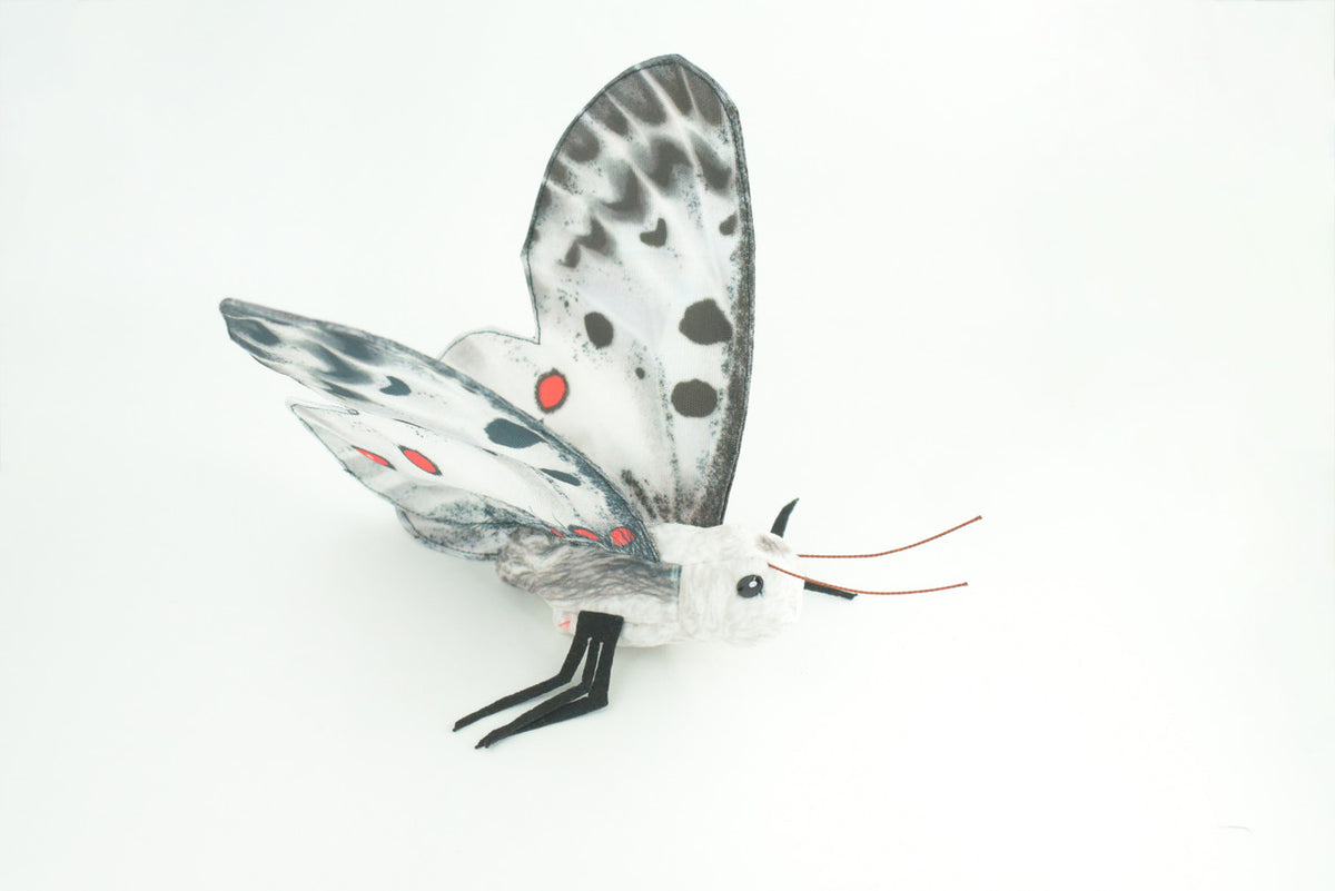 Apollo Butterfly, Finger Puppet, Very Nice Plush, Insect, Realistic, Educational, Toy, Kids, Gift,   15 Inches. WR36 BB317