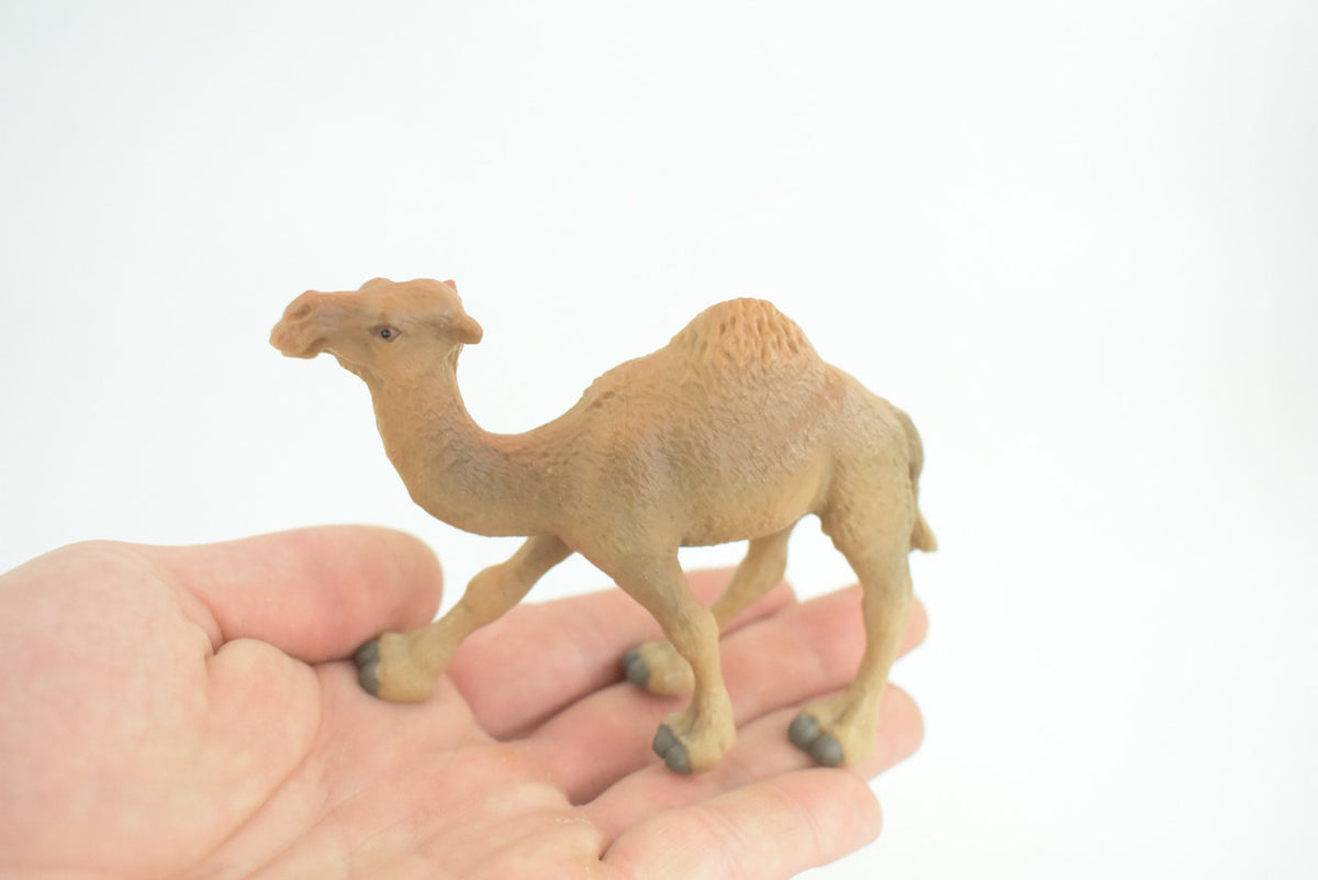 Camel, One Humped, Dromedary, Museum Quality, Educational, Hand Painted, Rubber Animal, Realistic, Diorama, Toy, Kids, Gift, 5 Inches. CH946 BB208