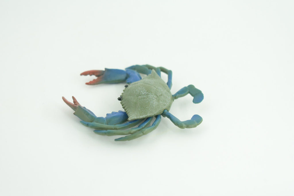 Blue Crab, Educational, Hand Painted, Museum Quality, Realistic, Rubber soft-shell crab, Realistic, Diorama, Toy, Kids, Gift,  3 1/2 Inches.  CH851 BB198