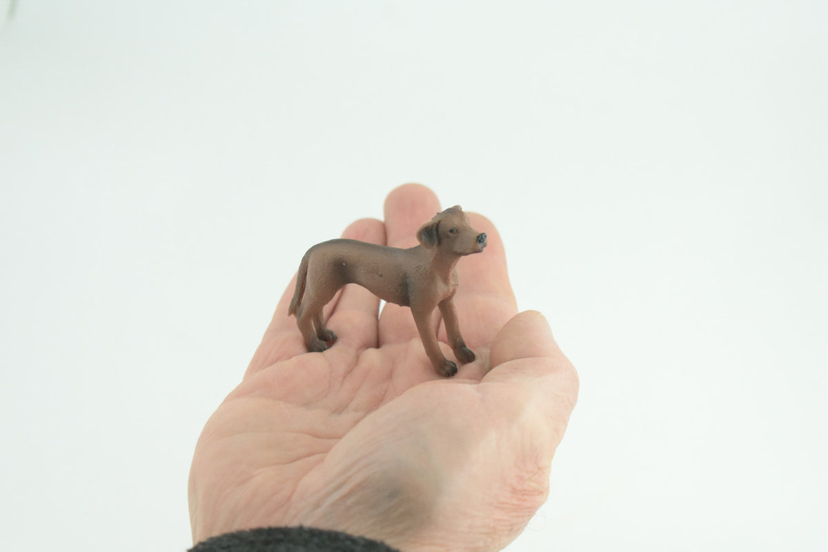 Rhodesian Ridgeback Dog, Rubber Canine, Hand Painted, Realistic Toy Figure, Model, Replica, Kids, Educational, Gift, 2 1/2 Inches
