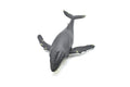 Humpback Whale,  Museum Quality Plastic Replica   12 1/2"   M031-B635