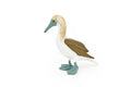 Blue Footed Booby, Gannet Sea Bird, Museum Quality, Rubber Bird, Hand Painted, Realistic Toy Figure, Diorama Model, Kids, Educational, 3 Inches.