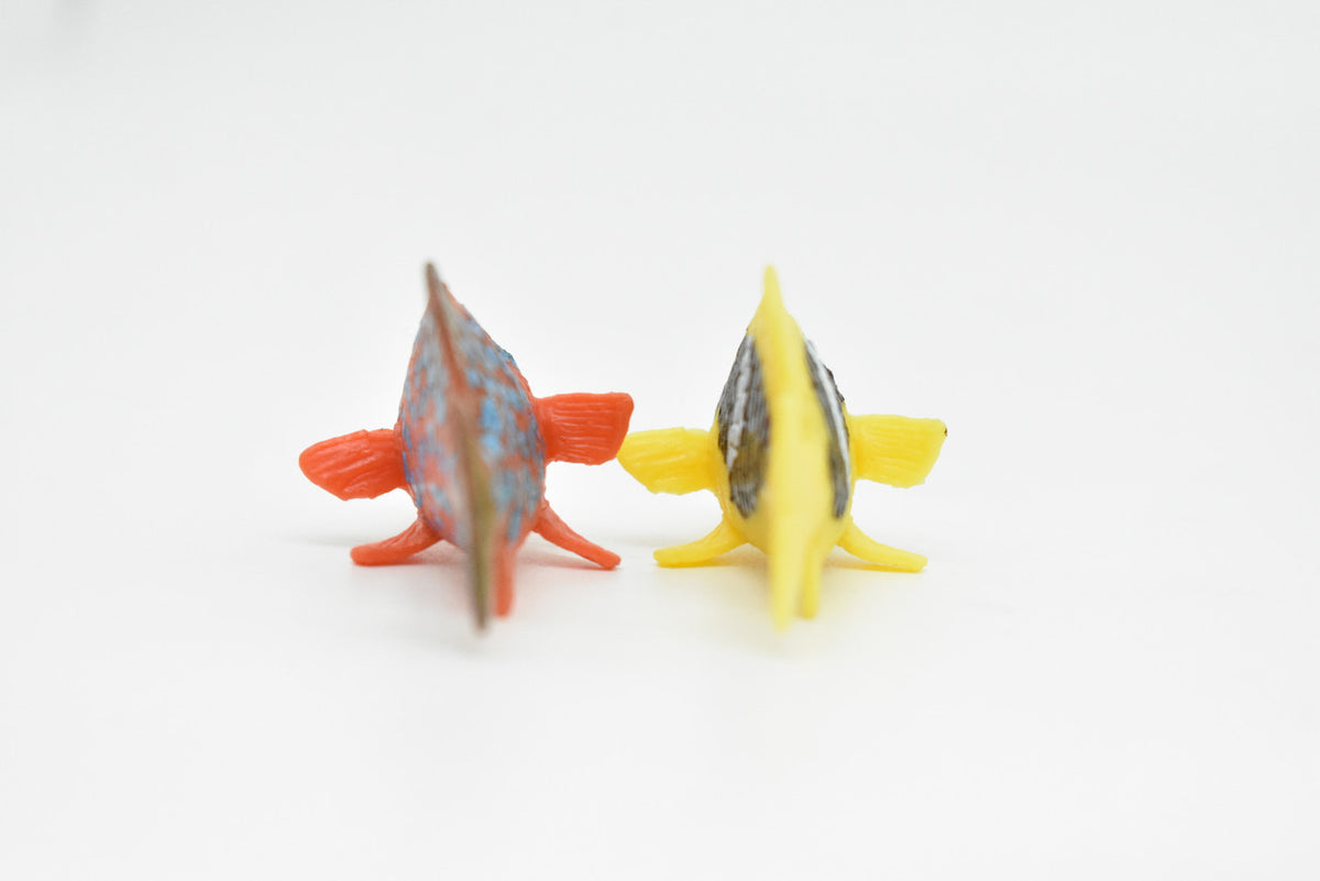 Tropical Fish, Saltwater, Set of 2, Realistic, Plastic, Fish Design, Educational, Hand Painted, Figure, Lifelike, Model, Replica, Gift      2"   CWG217 BB46