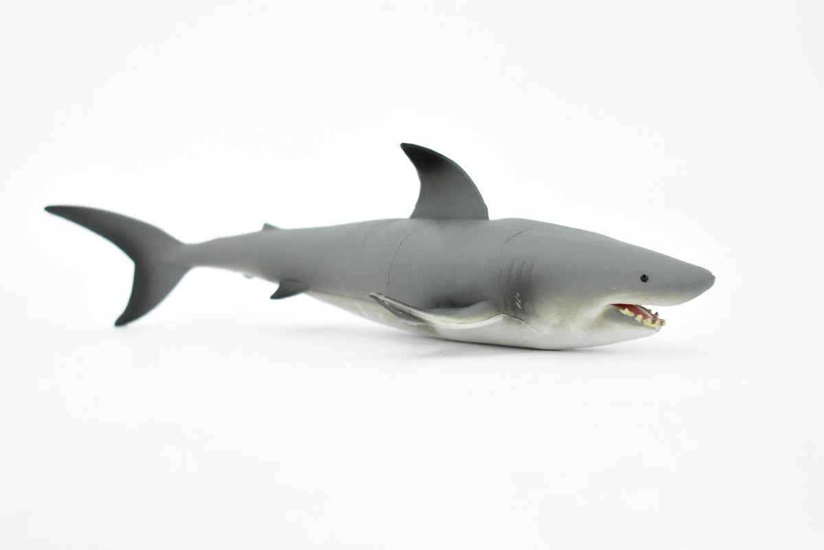 Black Tip Reef Shark, Museum Quality, Hand Painted,  Rubber Fish,  Educational, Diorama Model, Replica, Realistic Toy Figure, Kids,  7 Inches. 