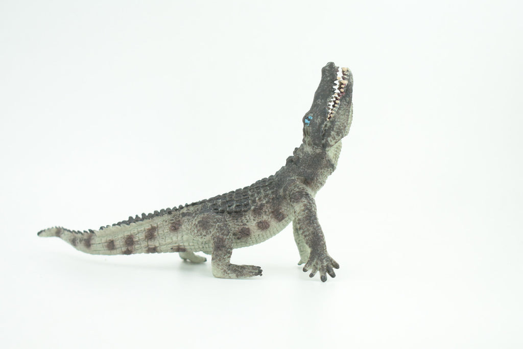 Crocodile, Museum Quality, Educational, Hand Painted, Rubber Reptile, Realistic, Diorama, Toy, Kids, Gift,  7 Inches.  CH751 BB183