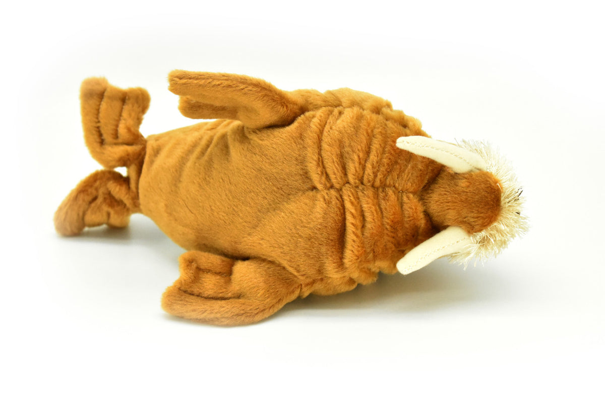 Walrus, Very Nice Plush Animal   10 inches long   -   F3554 B221