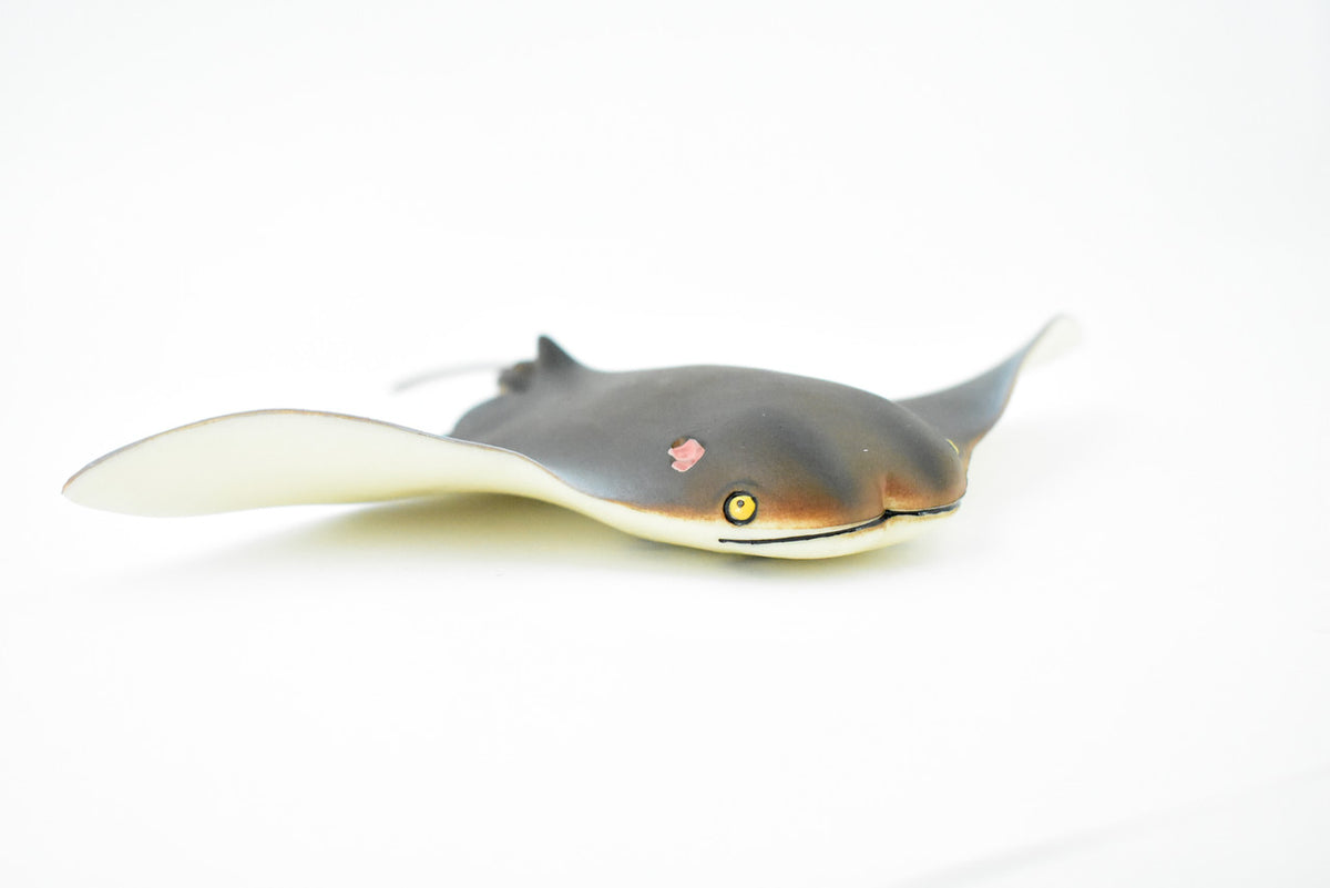 Cownose Ray, Skate, Museum Quality, Educational, Rubber Fish, Hand Painted, Realistic Toy Figure, Diorama Model, Kids, Educational,  7 Inches.